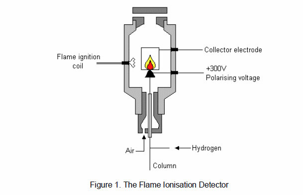Flame Ionization Detector (FID)